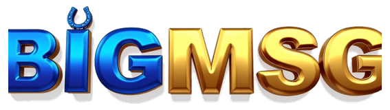 bigmsg login